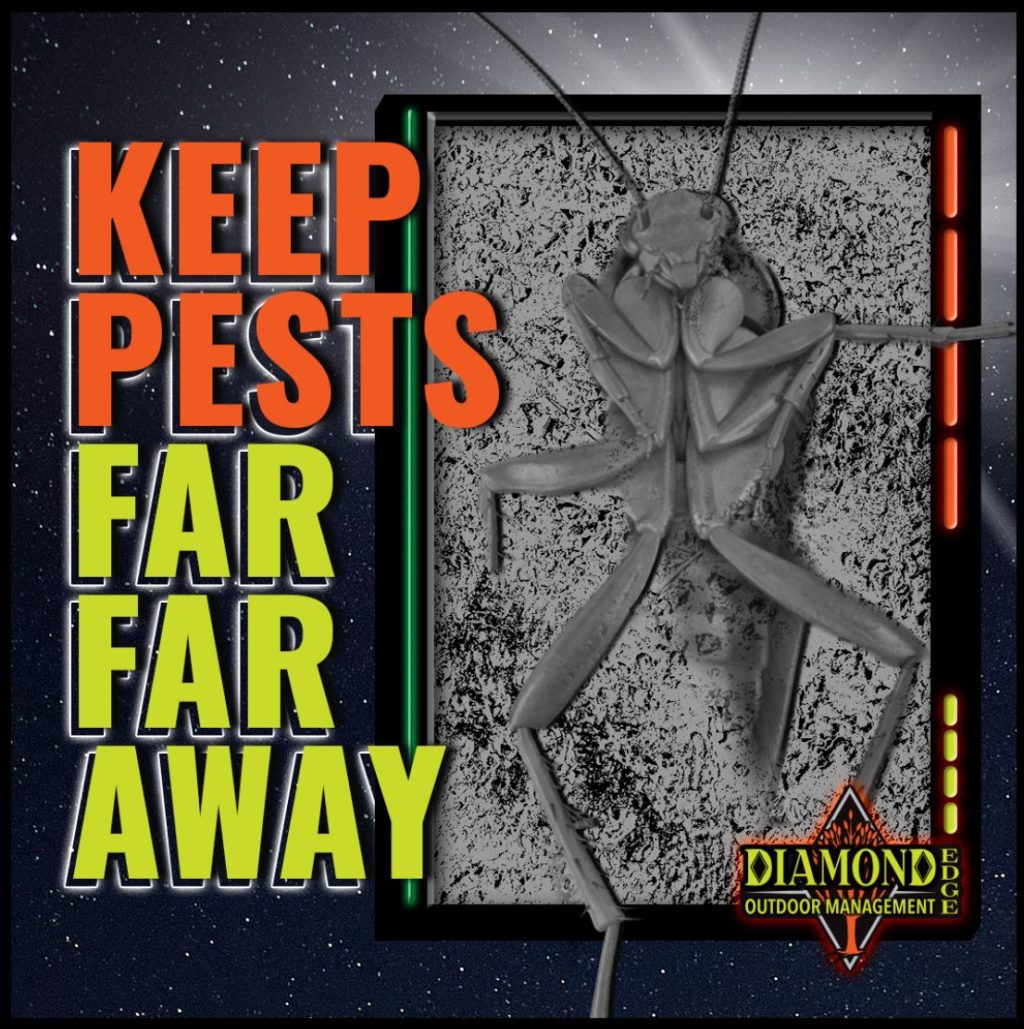 Diamond Edge Outdoor Management Drive Social Media